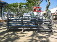 festival festirues (7)