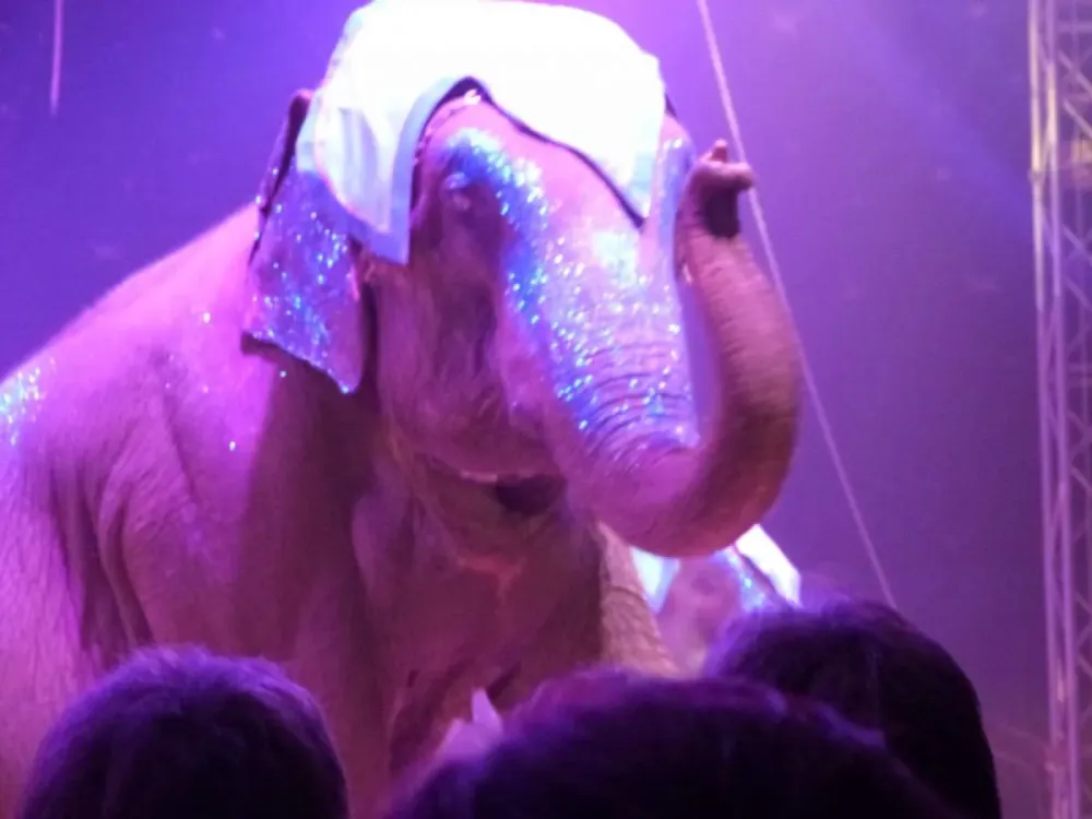 chapiteaux pour cirque (6)