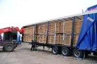 location plancher (1)